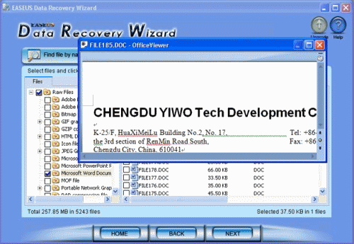 Word file preview